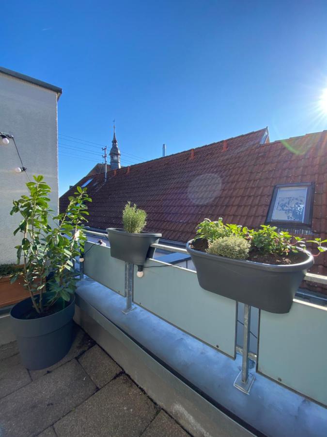 Ferienwohnung Kaiserblick Ihringen Ngoại thất bức ảnh